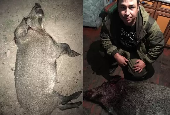 Белгородская область охота.jpg Белгородская область охота.jpg